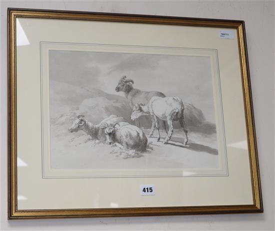 Attributed to Robert Hills Ows (1769-1844), study of goats, pencil and wash, 26 x 37cm